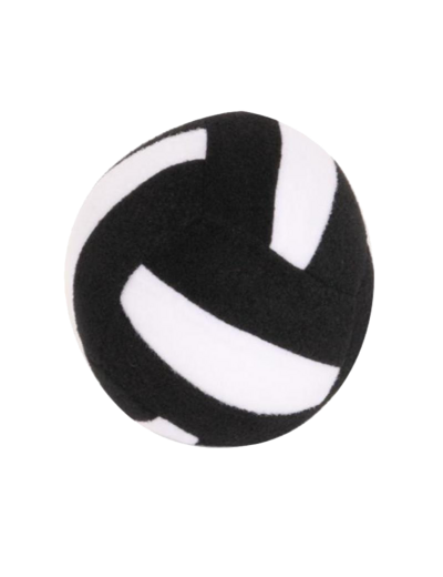 Balle de bumball