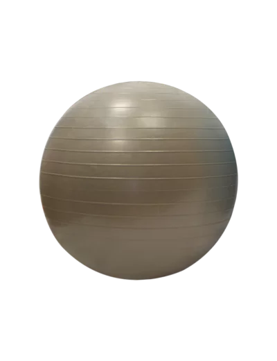 Gymball/balle gymnique 55cm