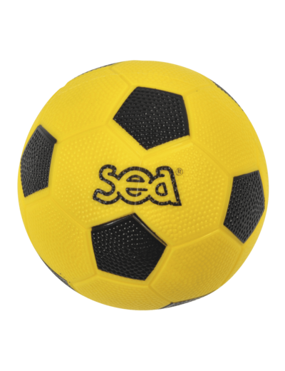 Ballon handball initiation