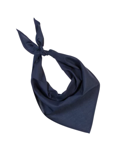 Couleur-d9edb056-651a-4542-a57a-ee2128776e67