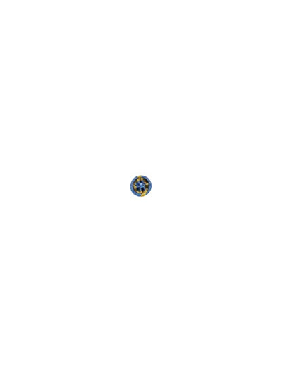 Rosette jeunesse et sports-or