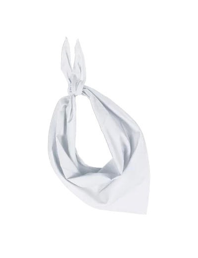 Fiesta-bandana