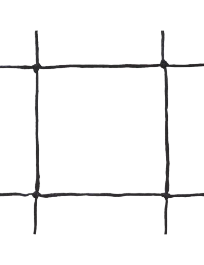Couleur-9be66301-c710-4290-aae9-a26618f13fb6