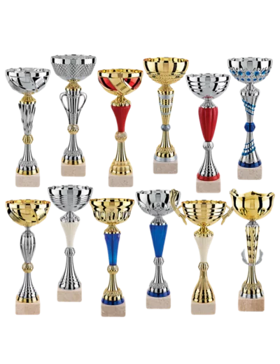 Lot de 12 coupes 2023 h moy 36,8cm
