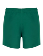 Vert foncé