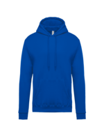 Bleu royal clair