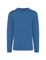 Bleu royal clair