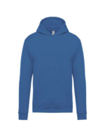 Bleu royal clair