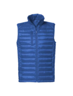 Bleu royal