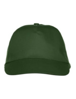 Vert bouteille
