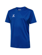 Bleu véritable