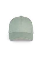 sage/gris clair