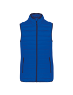 Bleu royal clair