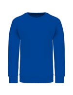 Bleu royal clair