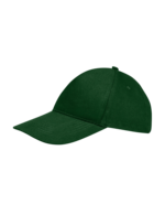Vert bouteille