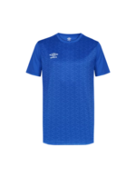 Bleu royal