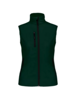Vert bouteille