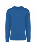 Bleu royal clair