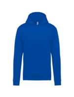 Bleu royal clair