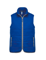 Bleu royal clair
