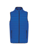Bleu royal clair