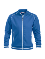 Bleu royal