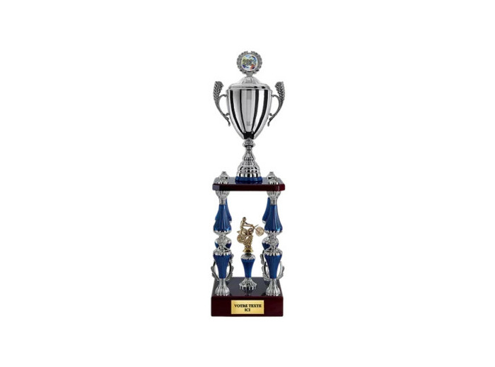 Trop col arg/bleu h 77cm d 140mm