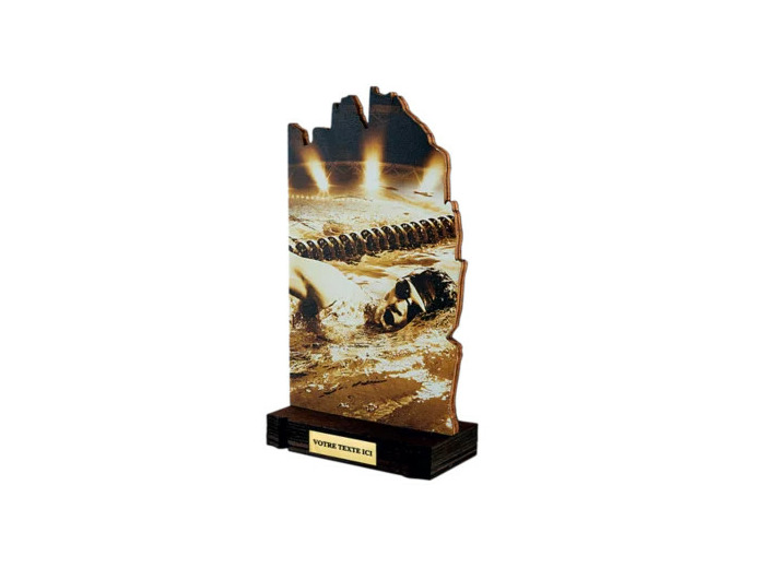 Trophee bois natation h 22 cm