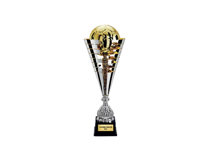 Coupe discipline arg/or h 57 cm
