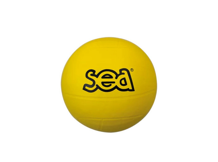 Ballon multisport