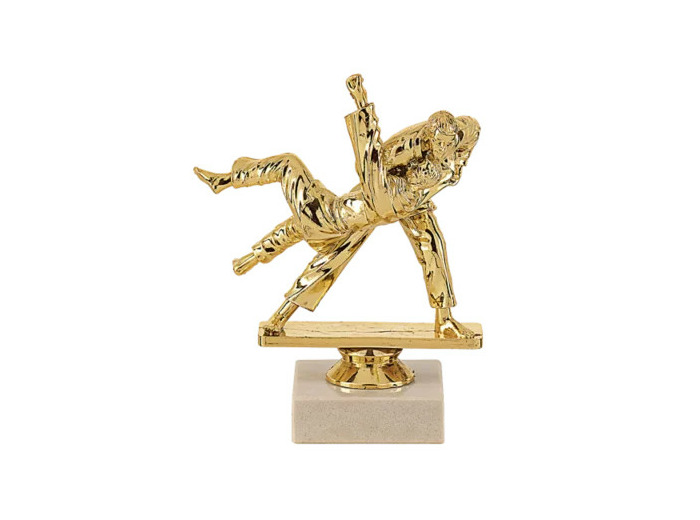 Trophee sujet plas or judo h 15 cm