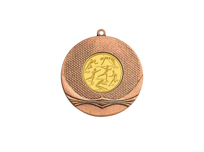 Medaille fer diam50mm bronze