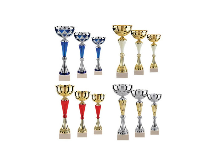 Lot de 12 coupes 2023 h moy 34,6cm