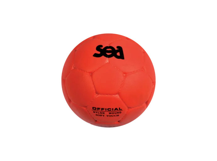 Ballon school composite sea