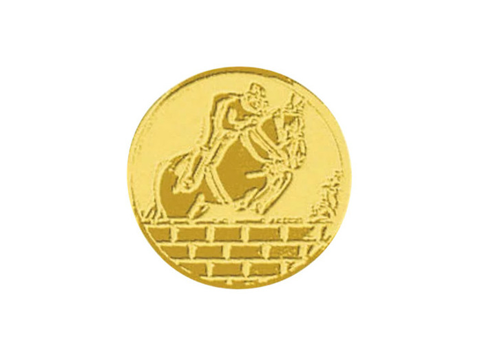 Pa 37 equitation alu 50mm