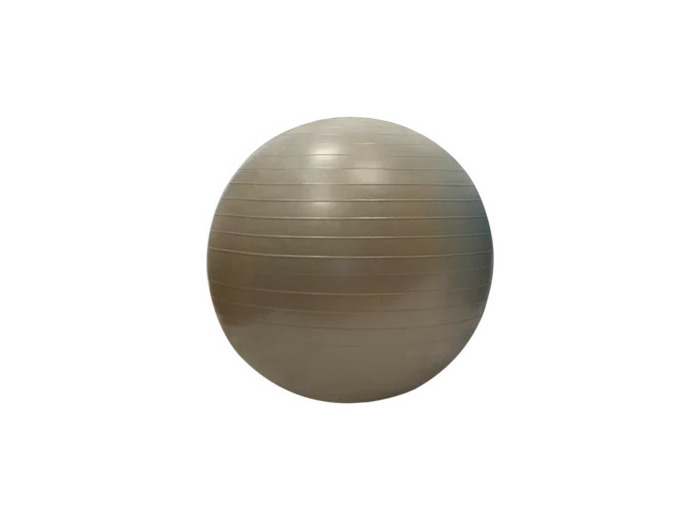 Gymball/balle gymnique 55cm