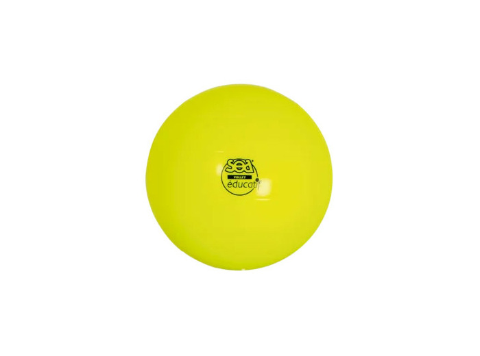 Ballon de volley educatif sea