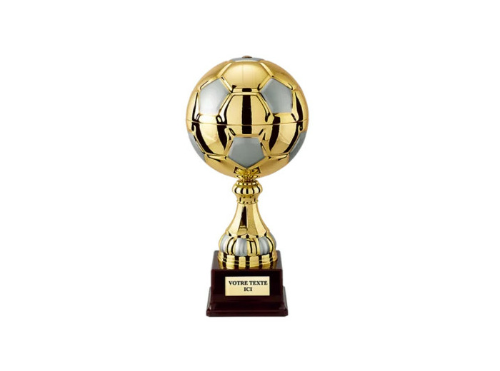 Trophee ballon de foot 38cm