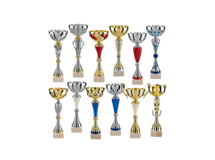 Lot de 12 coupes 2023 h moy 36,8cm