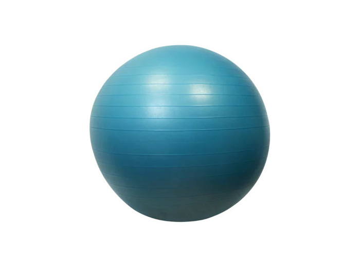 Gymball/balle gymnique 65cm