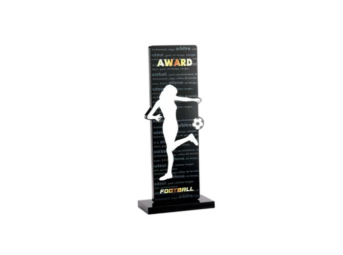 Trophee acrylique personnalisable n