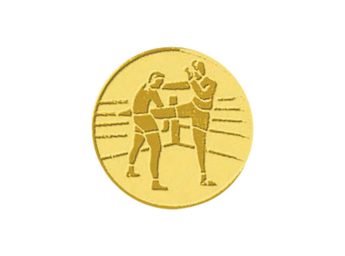 Pb 17 boxe francaise alu 25mm