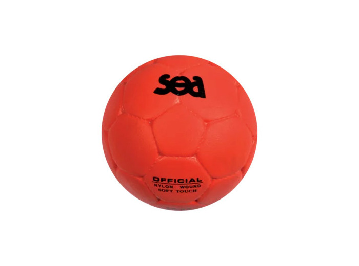 Ballon school composite sea
