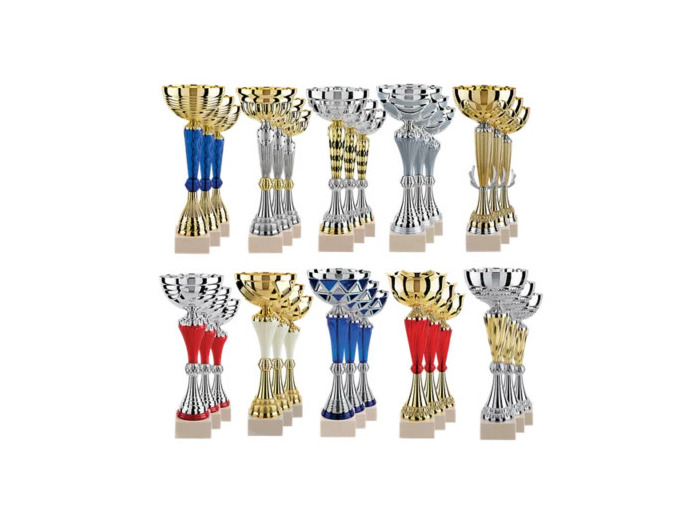 Lot de 30 coupes 2023 h moy 33,5cm