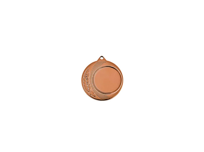 Medaille porte-centre bronze diamet