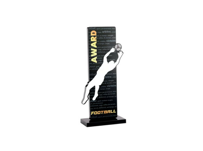 Trophee acrylique personnalisable n