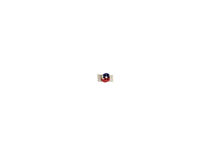 Rosette courage et devouement-or