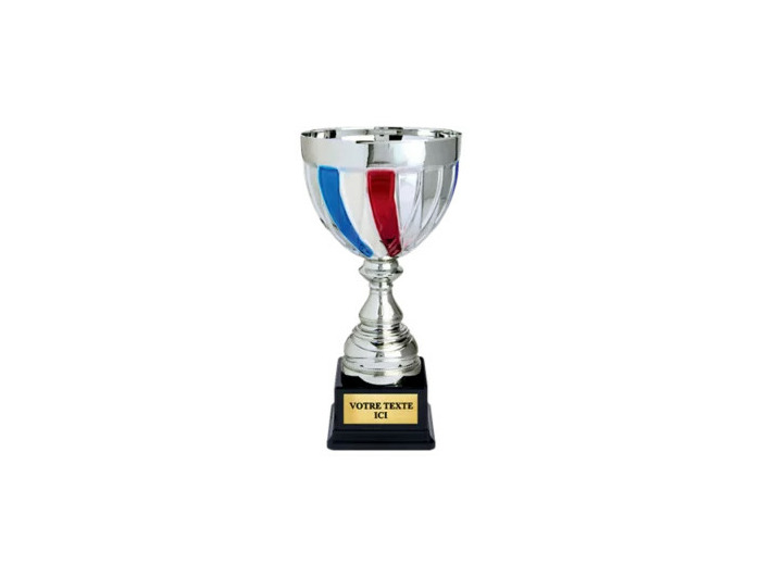 Coupe classique argent/bleu/blanc/r
