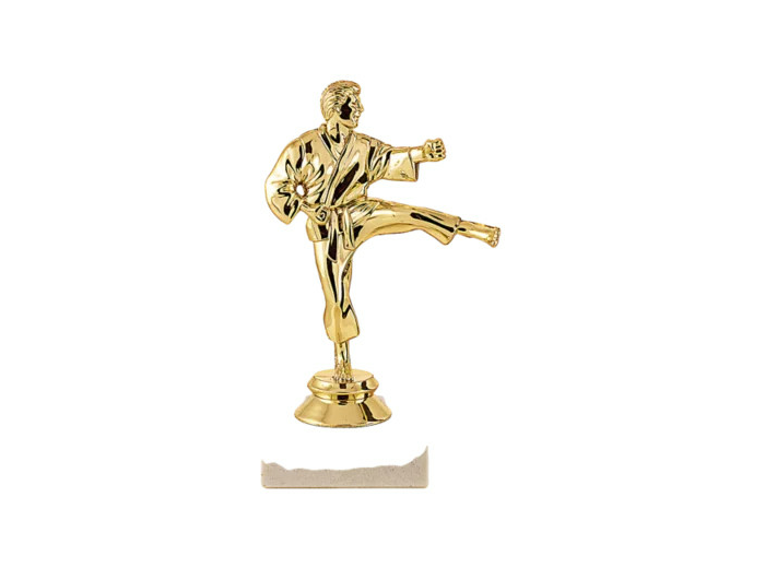 Trophee sujet plas or karate h 15cm