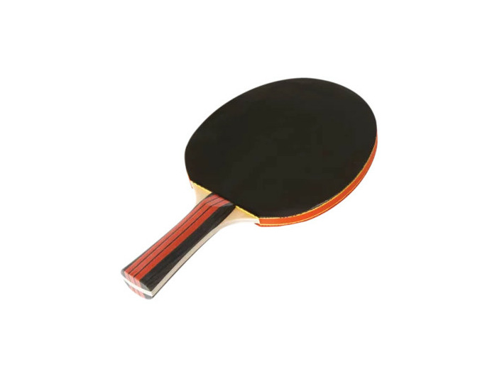Tennis de table - raquette entraine